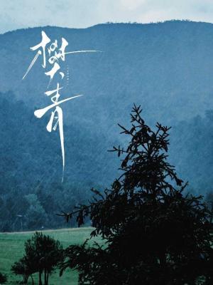Fan Qing